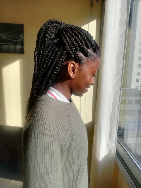 salon de coiffure afro tresse tresses box braids crochet braids vanilles tissages paris 75 77 78 91 92 93 94 95 RJOMBYYO