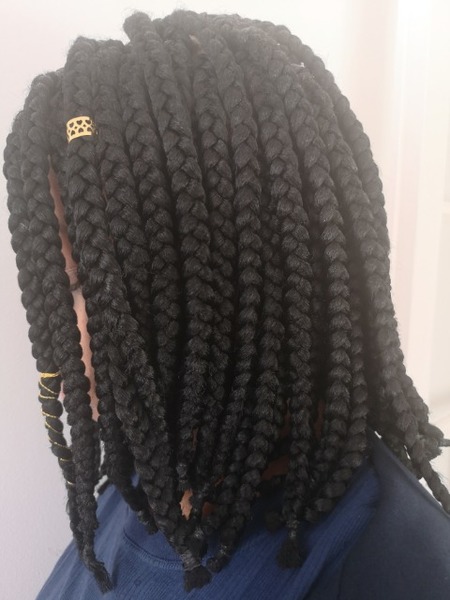 salon de coiffure afro tresse tresses box braids crochet braids vanilles tissages paris 75 77 78 91 92 93 94 95 LKBQOSMB