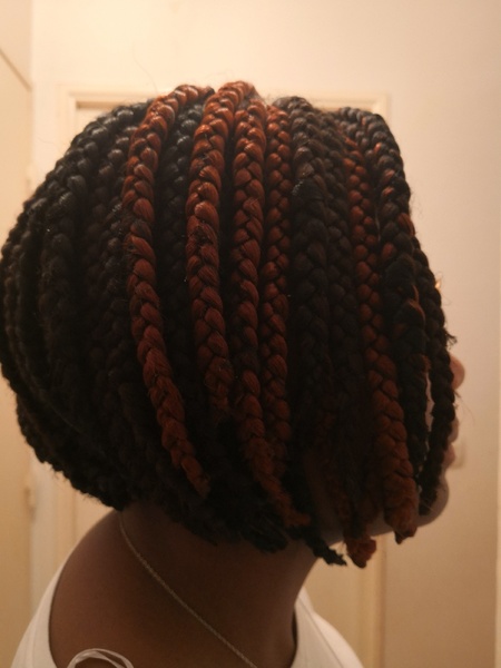 salon de coiffure afro tresse tresses box braids crochet braids vanilles tissages paris 75 77 78 91 92 93 94 95 AWLGQERV