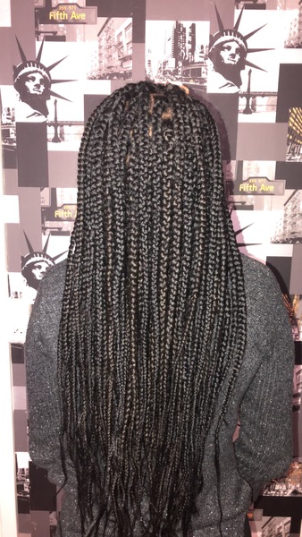 salon de coiffure afro tresse tresses box braids crochet braids vanilles tissages paris 75 77 78 91 92 93 94 95 AIUTKJLP