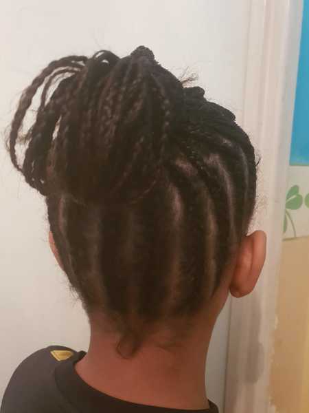 salon de coiffure afro tresse tresses box braids crochet braids vanilles tissages paris 75 77 78 91 92 93 94 95 NBHDHHXD