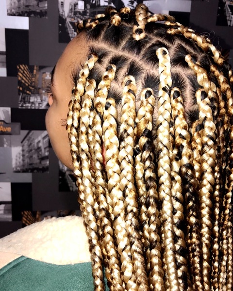 salon de coiffure afro tresse tresses box braids crochet braids vanilles tissages paris 75 77 78 91 92 93 94 95 VMJFTSSP