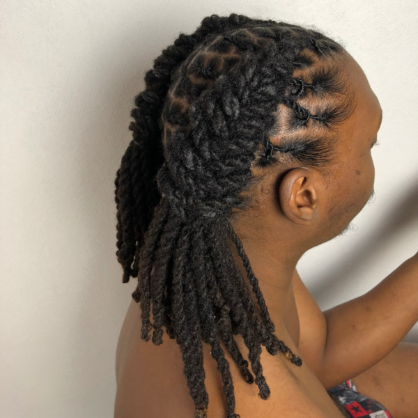 salon de coiffure afro tresse tresses box braids crochet braids vanilles tissages paris 75 77 78 91 92 93 94 95 PIZCKKNA
