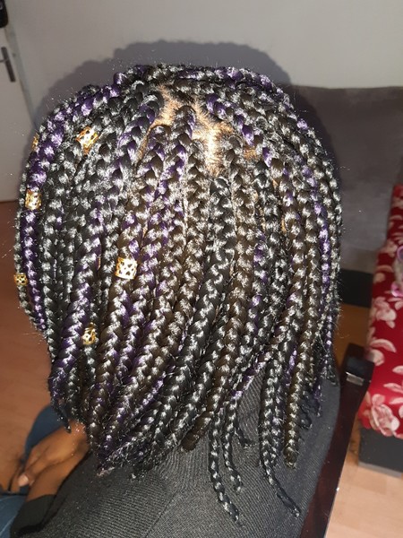 salon de coiffure afro tresse tresses box braids crochet braids vanilles tissages paris 75 77 78 91 92 93 94 95 SAWYJIQP