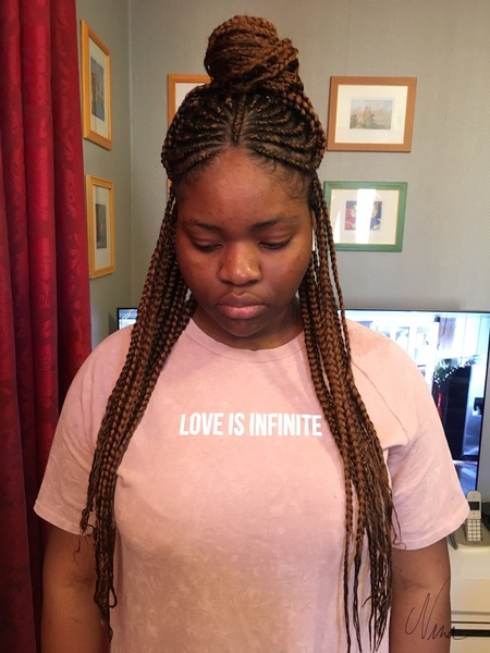 salon de coiffure afro tresse tresses box braids crochet braids vanilles tissages paris 75 77 78 91 92 93 94 95 ZBHIOPSM
