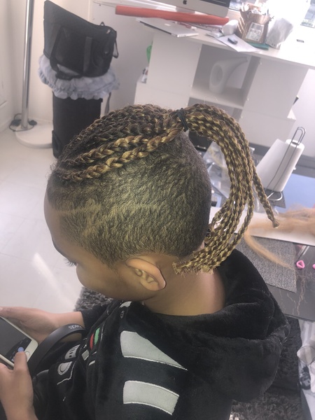salon de coiffure afro tresse tresses box braids crochet braids vanilles tissages paris 75 77 78 91 92 93 94 95 BCKGPSGU