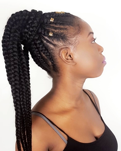 salon de coiffure afro tresse tresses box braids crochet braids vanilles tissages paris 75 77 78 91 92 93 94 95 DCDHJSQI