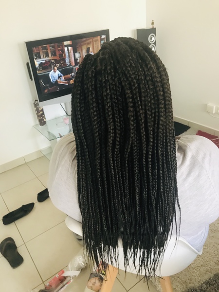 salon de coiffure afro tresse tresses box braids crochet braids vanilles tissages paris 75 77 78 91 92 93 94 95 CNHSZXCU