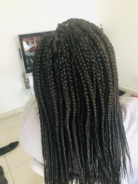 salon de coiffure afro tresse tresses box braids crochet braids vanilles tissages paris 75 77 78 91 92 93 94 95 DEQTUENQ
