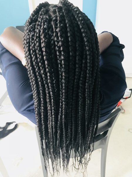 salon de coiffure afro tresse tresses box braids crochet braids vanilles tissages paris 75 77 78 91 92 93 94 95 GIKFHOSP