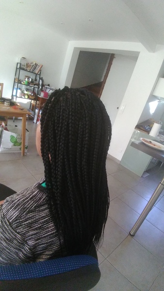 salon de coiffure afro tresse tresses box braids crochet braids vanilles tissages paris 75 77 78 91 92 93 94 95 EHHMFSPI