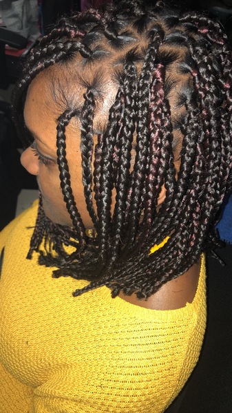 salon de coiffure afro tresse tresses box braids crochet braids vanilles tissages paris 75 77 78 91 92 93 94 95 XWVDNNFH