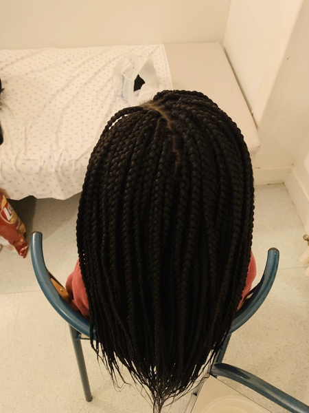 salon de coiffure afro tresse tresses box braids crochet braids vanilles tissages paris 75 77 78 91 92 93 94 95 FJHDCFVY