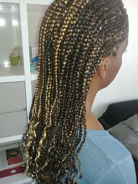 salon de coiffure afro tresse tresses box braids crochet braids vanilles tissages paris 75 77 78 91 92 93 94 95 ARXYIYJK