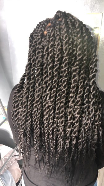 salon de coiffure afro tresse tresses box braids crochet braids vanilles tissages paris 75 77 78 91 92 93 94 95 HFCBCYLG