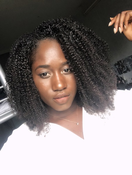 salon de coiffure afro tresse tresses box braids crochet braids vanilles tissages paris 75 77 78 91 92 93 94 95 EMHIUFSC