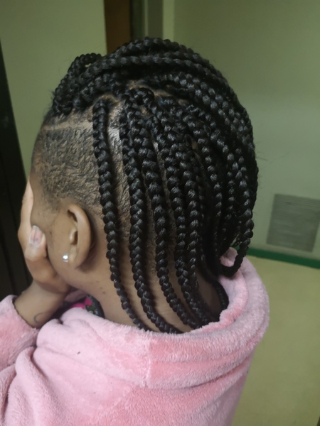 salon de coiffure afro tresse tresses box braids crochet braids vanilles tissages paris 75 77 78 91 92 93 94 95 GJTCZQHS