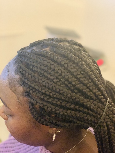 salon de coiffure afro tresse tresses box braids crochet braids vanilles tissages paris 75 77 78 91 92 93 94 95 EJDKMHZA