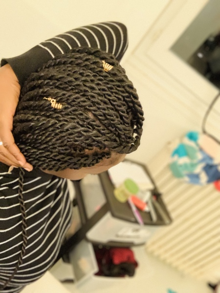 salon de coiffure afro tresse tresses box braids crochet braids vanilles tissages paris 75 77 78 91 92 93 94 95 FMHRSDXZ