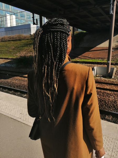salon de coiffure afro tresse tresses box braids crochet braids vanilles tissages paris 75 77 78 91 92 93 94 95 CFNXTSKI