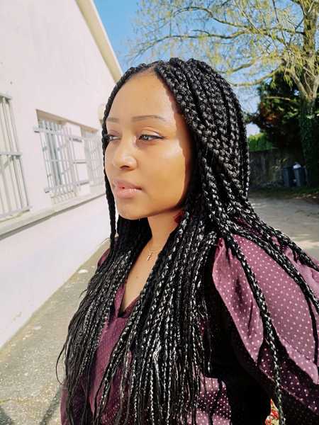 salon de coiffure afro tresse tresses box braids crochet braids vanilles tissages paris 75 77 78 91 92 93 94 95 HVLHPSVC