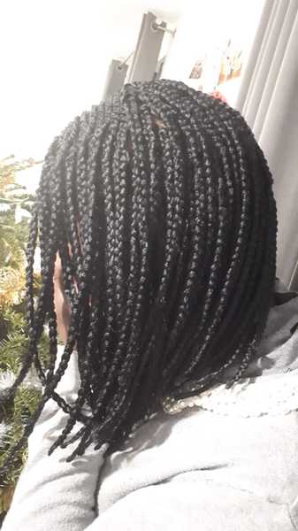 salon de coiffure afro tresse tresses box braids crochet braids vanilles tissages paris 75 77 78 91 92 93 94 95 IAXBHSYE