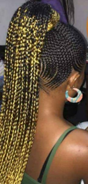 salon de coiffure afro tresse tresses box braids crochet braids vanilles tissages paris 75 77 78 91 92 93 94 95 NEBNUFHO