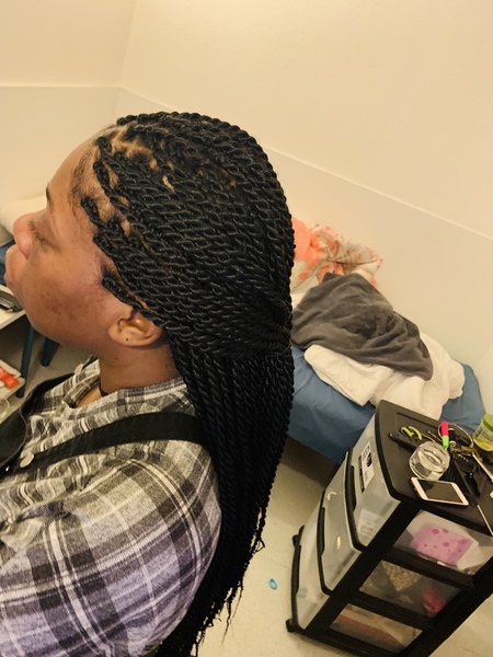 salon de coiffure afro tresse tresses box braids crochet braids vanilles tissages paris 75 77 78 91 92 93 94 95 AGNINPIX