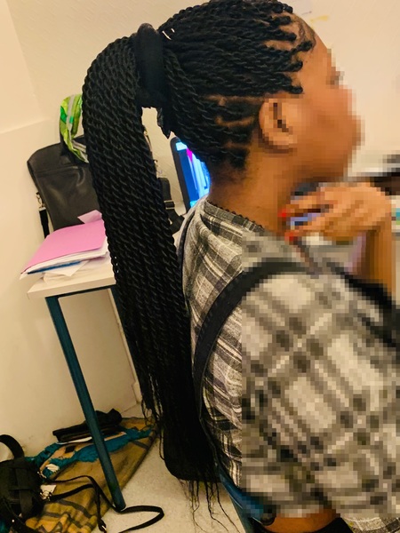 salon de coiffure afro tresse tresses box braids crochet braids vanilles tissages paris 75 77 78 91 92 93 94 95 IJOVDGYA
