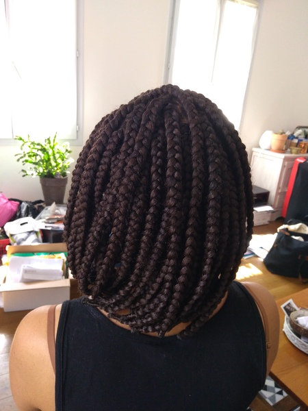 salon de coiffure afro tresse tresses box braids crochet braids vanilles tissages paris 75 77 78 91 92 93 94 95 ZXGMGTTH