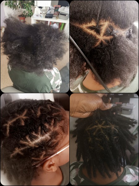 salon de coiffure afro tresse tresses box braids crochet braids vanilles tissages paris 75 77 78 91 92 93 94 95 IKARNHMS