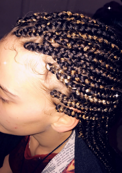 salon de coiffure afro tresse tresses box braids crochet braids vanilles tissages paris 75 77 78 91 92 93 94 95 FQPQIIPB