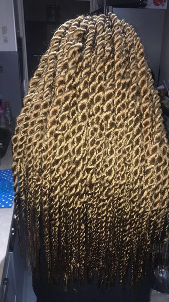salon de coiffure afro tresse tresses box braids crochet braids vanilles tissages paris 75 77 78 91 92 93 94 95 ZYKBLYZS