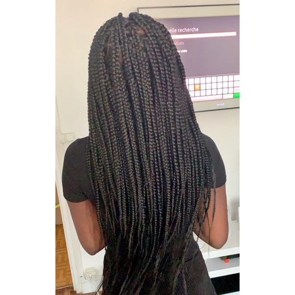 salon de coiffure afro tresse tresses box braids crochet braids vanilles tissages paris 75 77 78 91 92 93 94 95 LJSANOGY