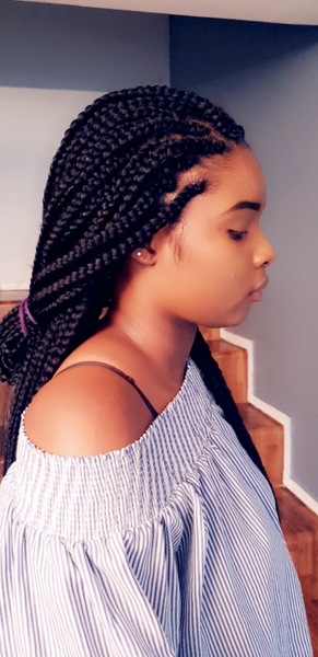 salon de coiffure afro tresse tresses box braids crochet braids vanilles tissages paris 75 77 78 91 92 93 94 95 BTEQLYSP