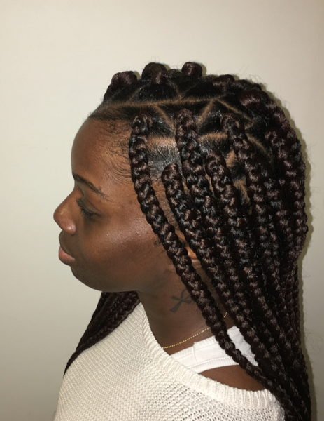 salon de coiffure afro tresse tresses box braids crochet braids vanilles tissages paris 75 77 78 91 92 93 94 95 CJCQPGDY