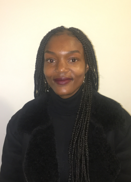 salon de coiffure afro tresse tresses box braids crochet braids vanilles tissages paris 75 77 78 91 92 93 94 95 UICUEYRA