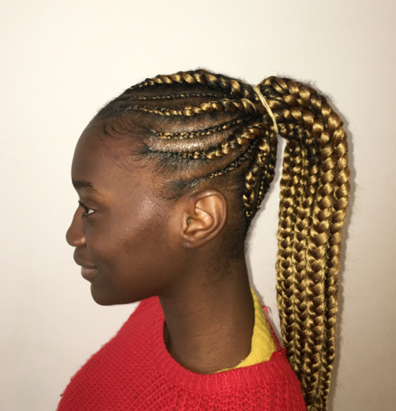 salon de coiffure afro tresse tresses box braids crochet braids vanilles tissages paris 75 77 78 91 92 93 94 95 OSOFCZJB