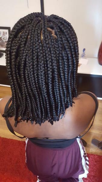 salon de coiffure afro tresse tresses box braids crochet braids vanilles tissages paris 75 77 78 91 92 93 94 95 FYHJNYLX