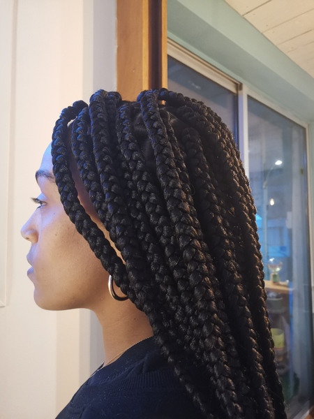 salon de coiffure afro tresse tresses box braids crochet braids vanilles tissages paris 75 77 78 91 92 93 94 95 GVNGHWCN