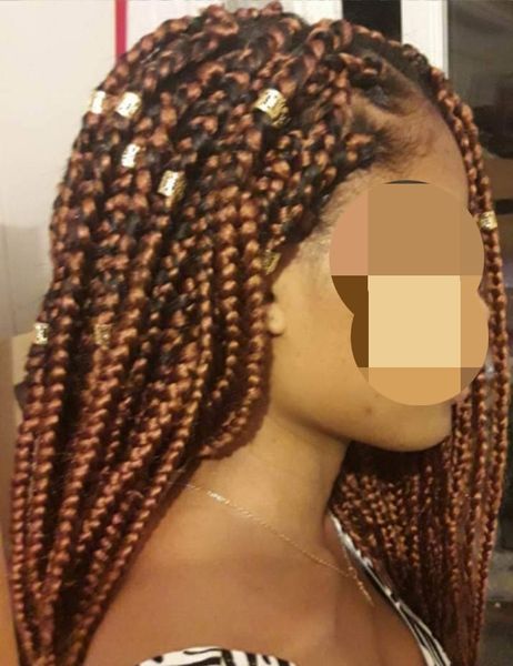 salon de coiffure afro tresse tresses box braids crochet braids vanilles tissages paris 75 77 78 91 92 93 94 95 FWAJSBKN