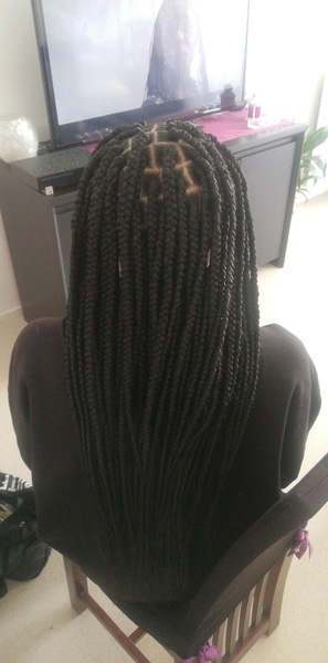 salon de coiffure afro tresse tresses box braids crochet braids vanilles tissages paris 75 77 78 91 92 93 94 95 PDBVZSYP