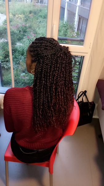 salon de coiffure afro tresse tresses box braids crochet braids vanilles tissages paris 75 77 78 91 92 93 94 95 TFOCYKUU