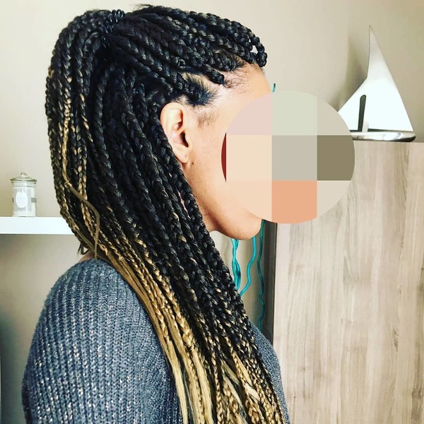 salon de coiffure afro tresse tresses box braids crochet braids vanilles tissages paris 75 77 78 91 92 93 94 95 STFZKOXB