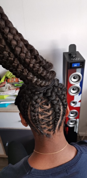 salon de coiffure afro tresse tresses box braids crochet braids vanilles tissages paris 75 77 78 91 92 93 94 95 EKZVXHEX