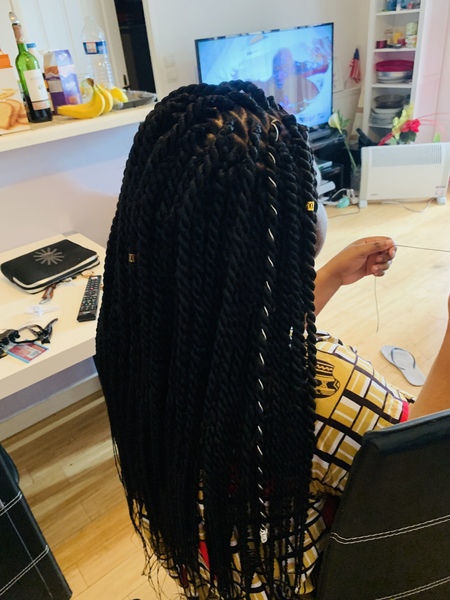 salon de coiffure afro tresse tresses box braids crochet braids vanilles tissages paris 75 77 78 91 92 93 94 95 AYAPFOLZ