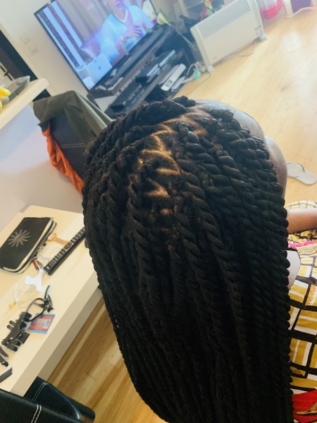salon de coiffure afro tresse tresses box braids crochet braids vanilles tissages paris 75 77 78 91 92 93 94 95 BGNGDHGD