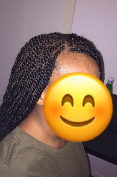 salon de coiffure afro tresse tresses box braids crochet braids vanilles tissages paris 75 77 78 91 92 93 94 95 HNASOZHU
