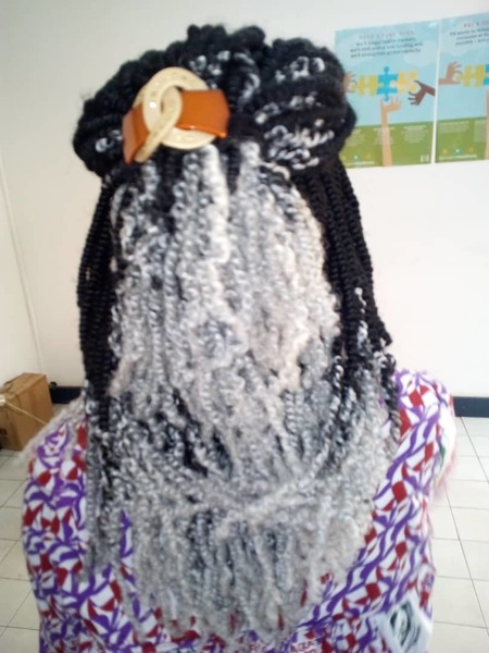 salon de coiffure afro tresse tresses box braids crochet braids vanilles tissages paris 75 77 78 91 92 93 94 95 ARLYKOLB