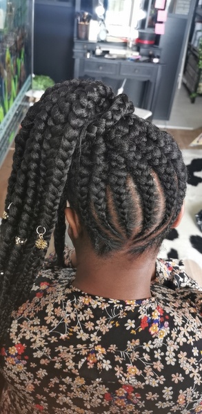 salon de coiffure afro tresse tresses box braids crochet braids vanilles tissages paris 75 77 78 91 92 93 94 95 SWHDJZNC